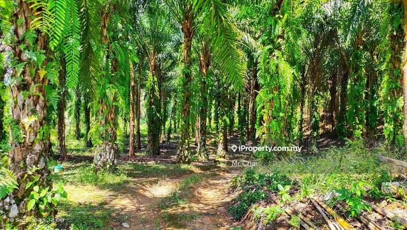 Tanah Pertanian untuk Dijual di Kuala Kubu Bharu, Kerling, (6 Acres), Kerling oleh Mr Chai - iProperty.com.my