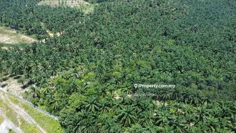 Agricultural Land for Sale in Rembau, Rembau by Aziz Ahmad - iProperty.com.my