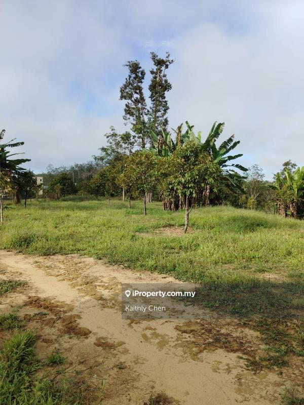 Agricultural Land for Sale in Pahang, Kuala Lipis, Kuala Lipis by Kaithly Chen - iProperty.com.my