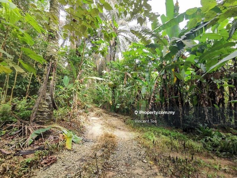 Tanah Kediaman untuk Dijual di Bidor, Perak oleh Vincent Tee - iProperty.com.my