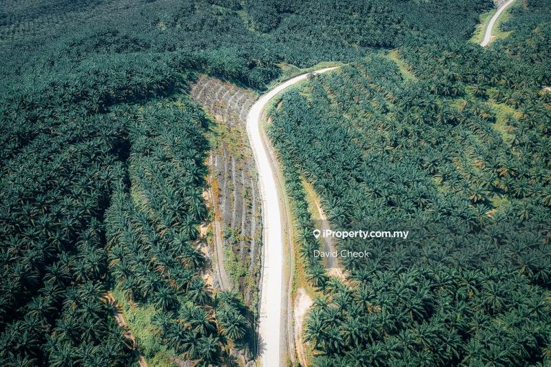 Tanah Pertanian untuk Dijual di Rantau, Negeri Sembilan oleh David Cheok - iProperty.com.my