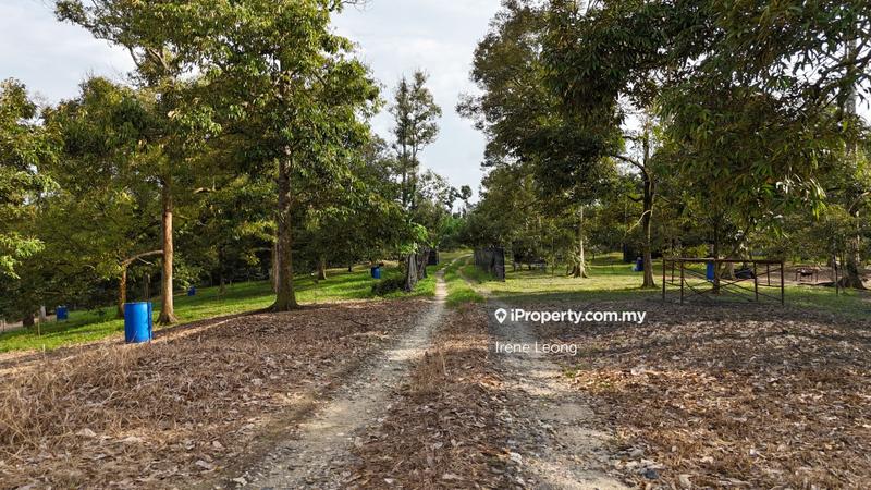 Agricultural Land for Sale in Karak, Pahang by Irene Leong - iProperty.com.my