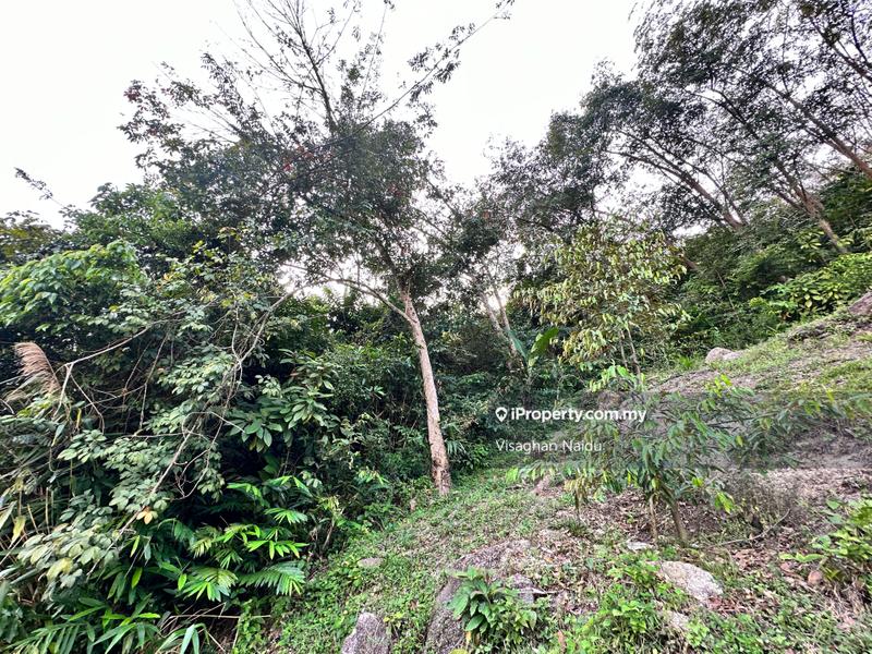 Tanah Pertanian untuk Dijual di Balik Pulau, Penang oleh Visaghan Naidu - iProperty.com.my