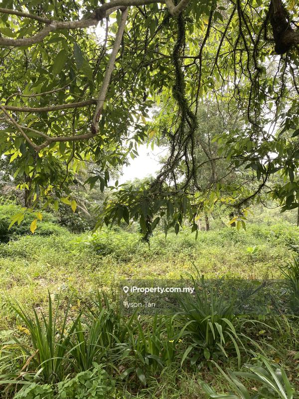 Residential Land for Sale in Country Heights Damansara, Kuala Lumpur by Tyson Tan - iProperty.com.my