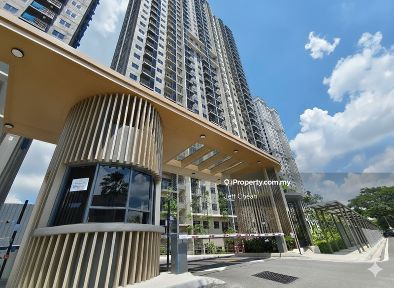 For Sale - One Equine