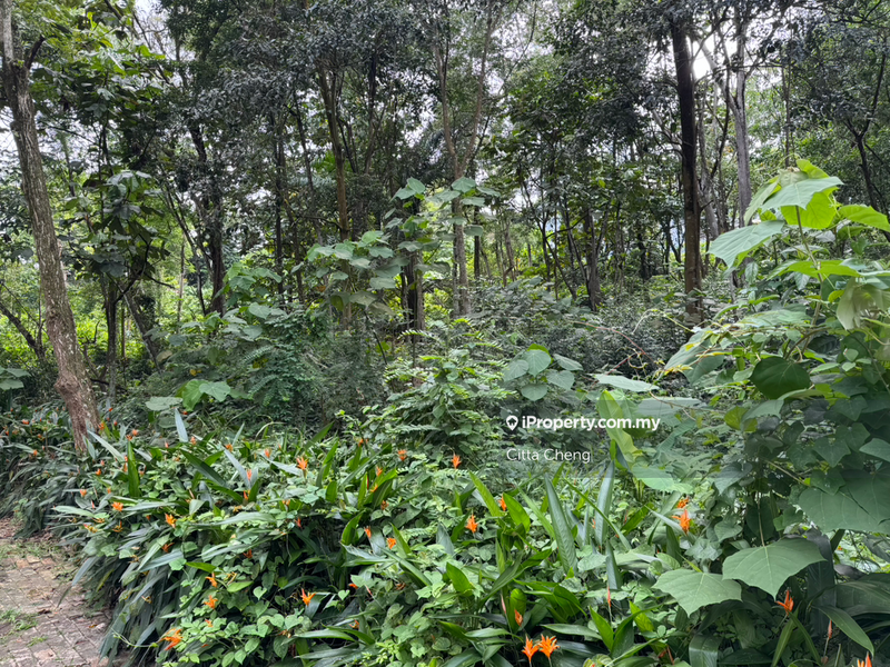 Bungalow Land for Sale in Country Heights Damansara, Kuala Lumpur by Citta Cheng - iProperty.com.my
