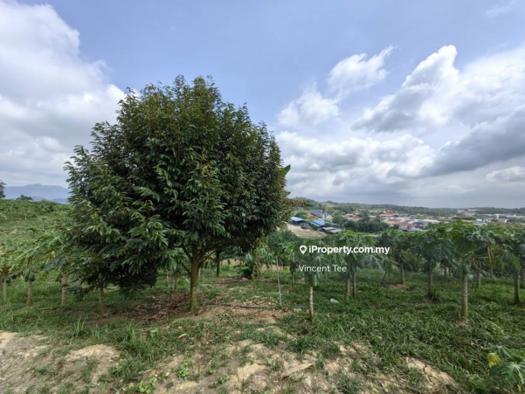 Tanah Pertanian untuk Dijual di Bandar Raub Perdana, Raub oleh Vincent Tee - iProperty.com.my