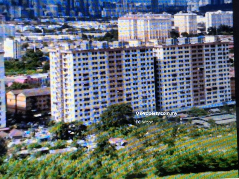 For Sale - Koi Kinrara