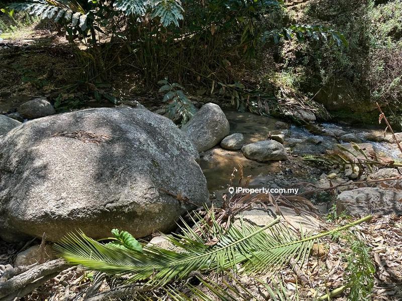 Tanah Pertanian untuk Dijual di Bentong Sang Lee ,Raub, Raub oleh Grace Tan - iProperty.com.my