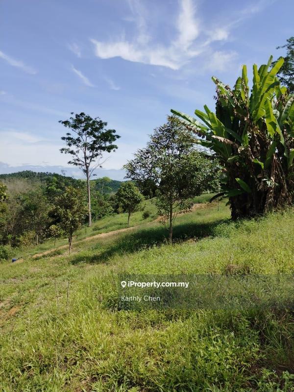 Agricultural Land for Sale in Pahang, Kuala Lipis, Kuala Lipis by Kaithly Chen - iProperty.com.my