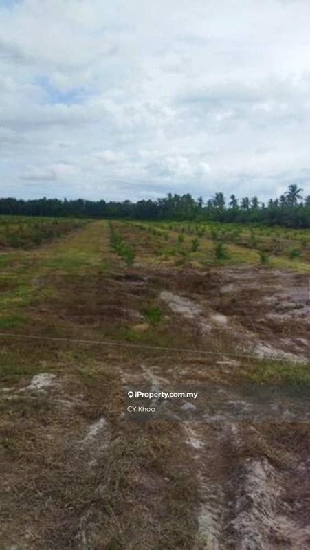 Tanah Pertanian untuk Dijual di Perak Tengah Jaya Baru Sitiawan 32000 Lekir, Sitiawan oleh CY Khoo - iProperty.com.my
