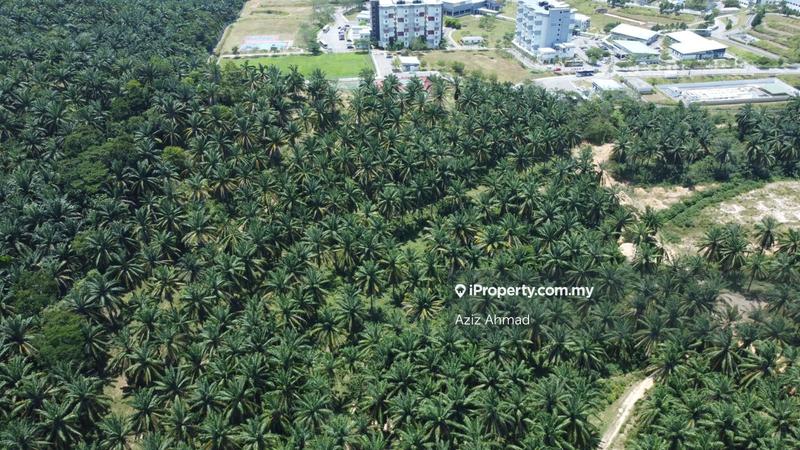 Agricultural Land for Sale in Rembau, Rembau by Aziz Ahmad - iProperty.com.my