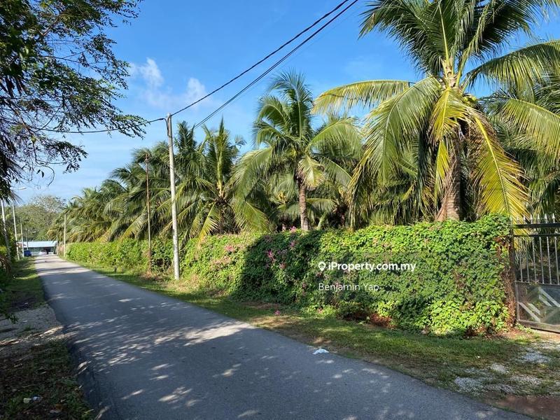Agricultural Land for Sale in Panchor, Durian Tunggal by Benjamin Yap - iProperty.com.my