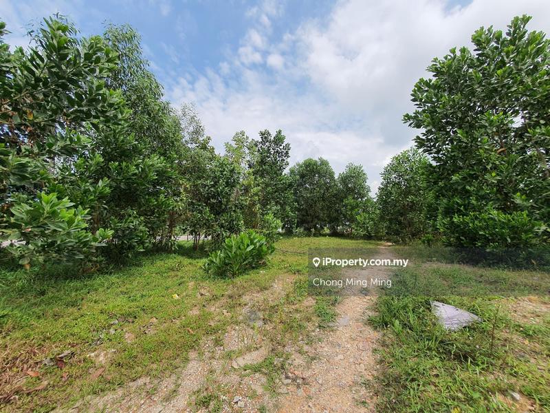 Agricultural Land for Sale in Lendu, Alor Gajah by Chong Ming Ming - iProperty.com.my