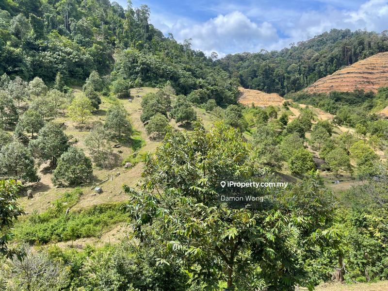 Agricultural Land for Sale in Karak, Bentong by Damon Wong - iProperty.com.my