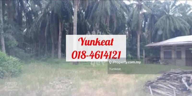 Agricultural Land for Sale in Changkat, Nibong Tebal by Yunkeat - iProperty.com.my
