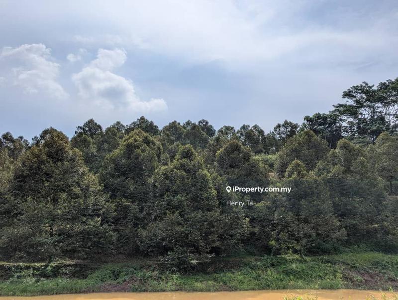 Agricultural Land for Sale in Bandar Baru Kuala Lipis, Kuala Lipis by Henry Ta - iProperty.com.my