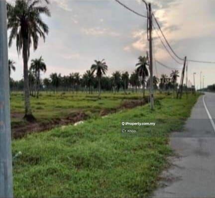 Agricultural Land for Sale in Selangor Kuala Langat Morib Banting 42700, Banting by CY Khoo - iProperty.com.my