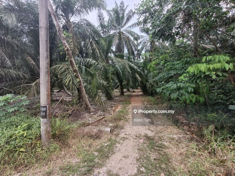 Agricultural Land for Sale in Kampung Sungai Bunyi, Tenggayun, Pontian by Allen Tan - iProperty.com.my