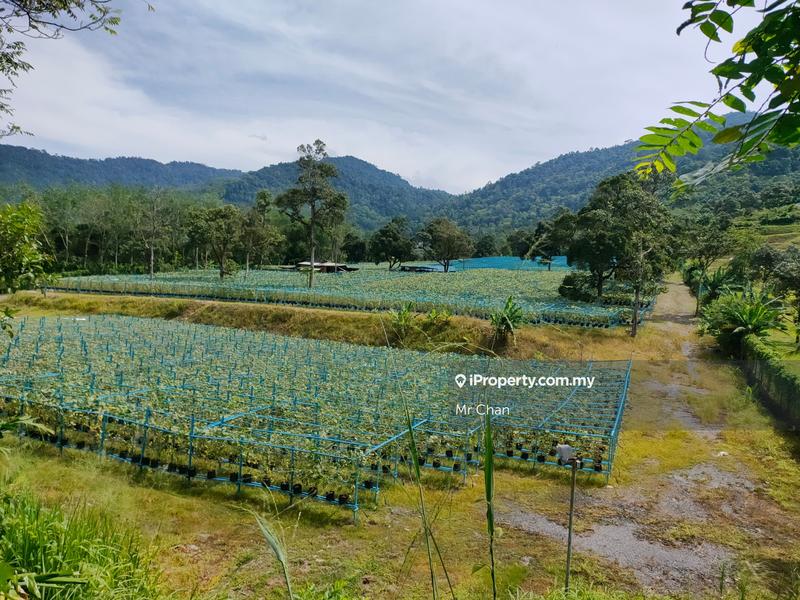 Tanah Pertanian untuk Dijual di Hulu Semenyih, Semenyih oleh Mr Chan - iProperty.com.my