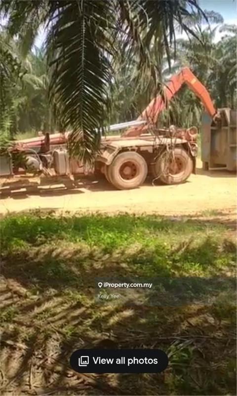 Agricultural Land for Sale in Cha'ah, Segamat by Kelly Yee - iProperty.com.my