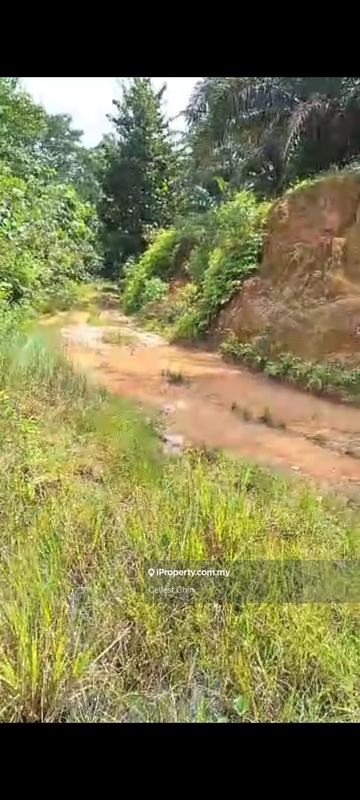 Agricultural Land for Sale in sepang, Dengkil by Cellest Chin - iProperty.com.my