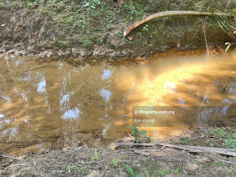 Agricultural Land for Sale in Ayer Paabas, Alor Gajah by Kok Kheng - iProperty.com.my