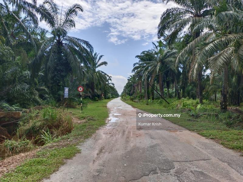 Tanah Pertanian untuk Dijual di Banting, Banting oleh Kumar Krish - iProperty.com.my