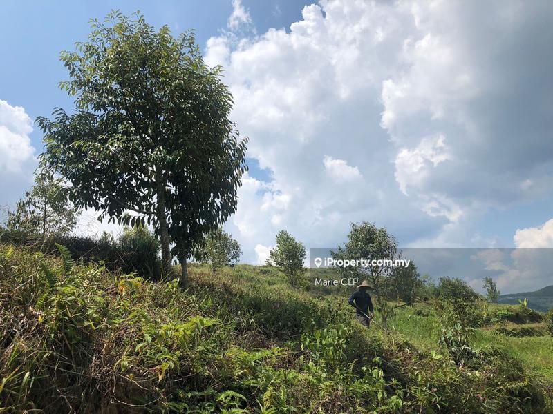 Tanah Pertanian untuk Dijual di Titi, Titi oleh Marie CLP - iProperty.com.my