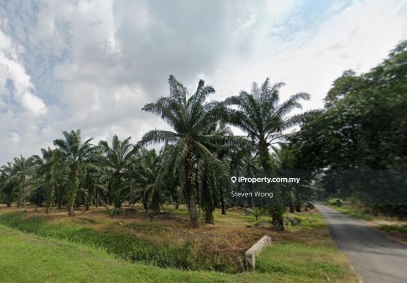 Agricultural Land for Sale in Kampung Sijangkang, Telok Panglima Garang by Steven Wong - iProperty.com.my