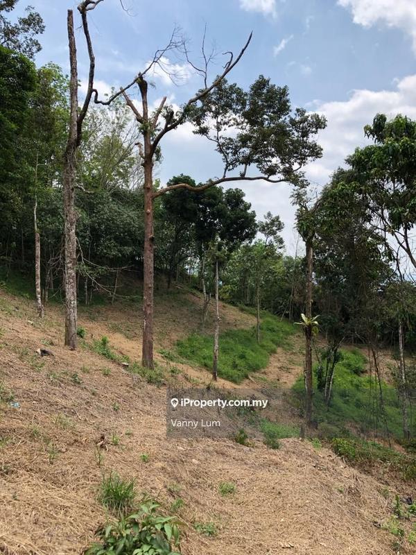 For Sale - Tapak Cadangan Batang Kali Freehold Agriculture Land With Access