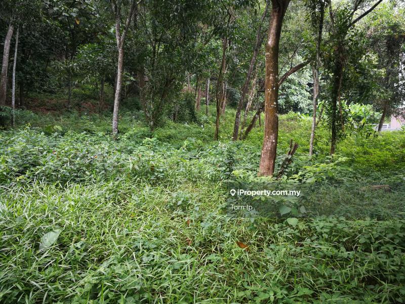 For Sale - Commercial Land