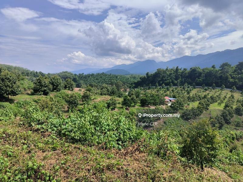 Agricultural Land for Sale in Kampung Sumpitan, Lenggong by Marie CLP - iProperty.com.my