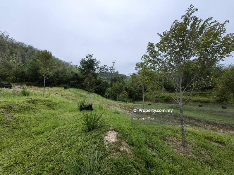Agricultural Land untuk Dijual di Kampung Renal, Kuala Klawang oleh Vincent Tee - iProperty.com.my
