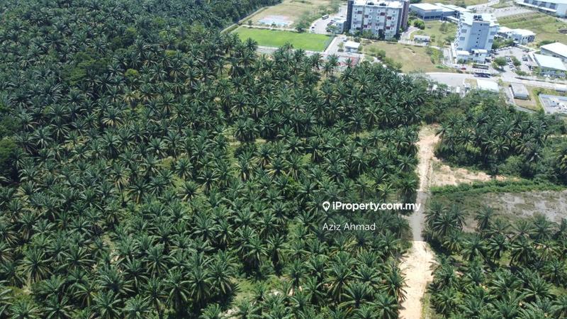 Agricultural Land for Sale in Rembau, Rembau by Aziz Ahmad - iProperty.com.my