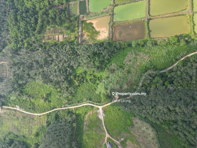 Agricultural Land for Sale in Kampung Chamang, Bentong by Irene Leong - iProperty.com.my