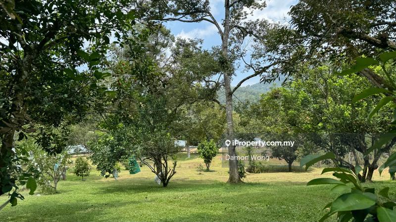 Agricultural Land for Sale in Bukit Tinggi, Bentong by Damon Wong - iProperty.com.my