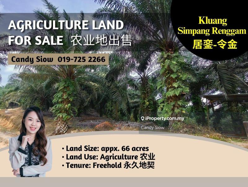 For Sale - Kluang Simpang Renggam 66ac Agriculture Land