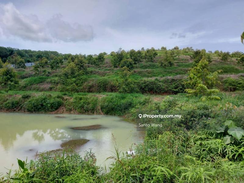 Agricultural Land for Sale in Sungai Tiram, Ulu Tiram by Santo Wang - iProperty.com.my