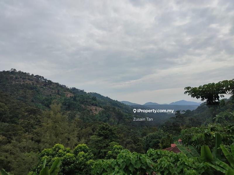 Agricultural Land for Sale in Kampung Titi Serong, Balik Pulau by Zusain Tan - iProperty.com.my