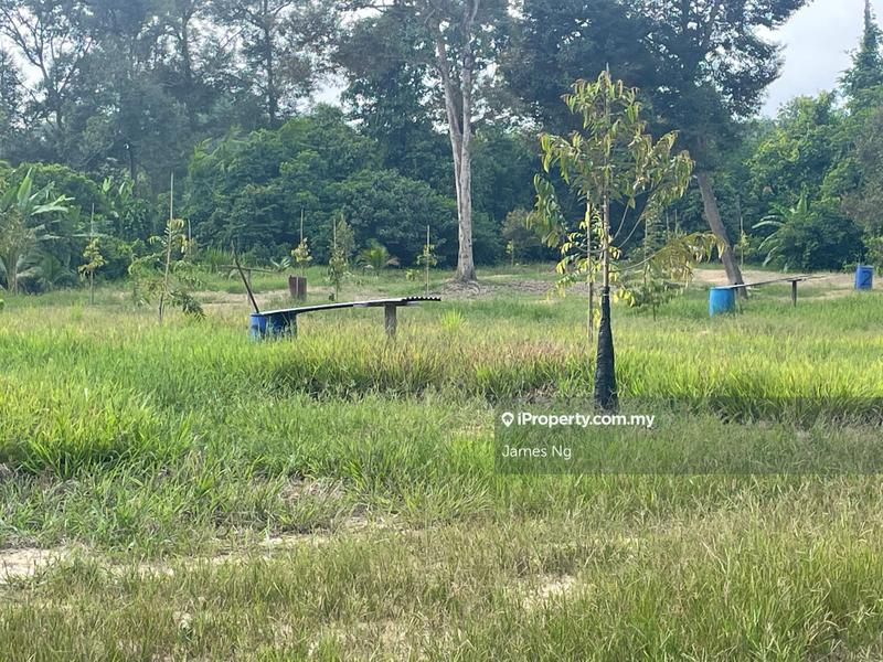Agricultural Land for Sale in Karak,Pahang, Kuantan by James Ng - iProperty.com.my