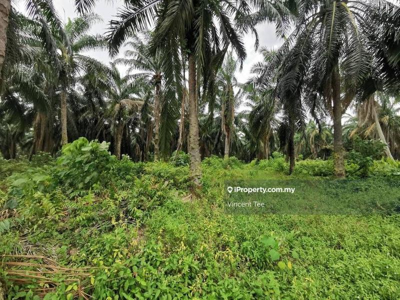 Tanah Pertanian untuk Dijual di Bukit Changgang, Banting oleh Vincent Tee - iProperty.com.my
