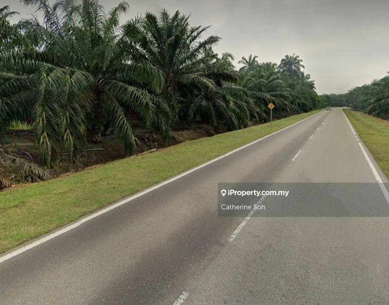 For Sale - Muar Serom near Bukit Gambir 3.5ac Agriculture Land For Sale