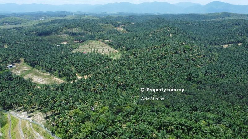 Agricultural Land for Sale in Rembau, Rembau by Aziz Ahmad - iProperty.com.my