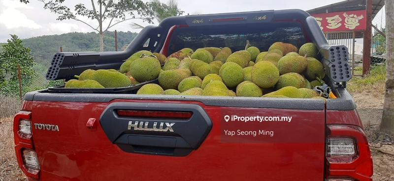 Tanah Pertanian untuk Dijual di Kenaboi, Kenaboi oleh Yap Seong Ming - iProperty.com.my