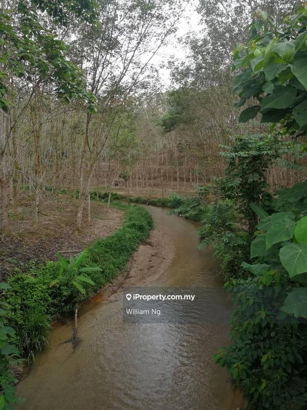 Tanah Pertanian untuk Dijual di Taman Jelebu, Kuala Klawang oleh William Ng - iProperty.com.my