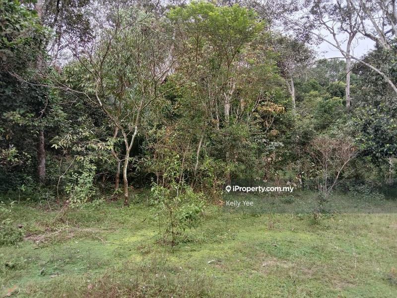 For Sale - Agriculture Land for Sale in Sungai Lembu, Bukit Mertajam