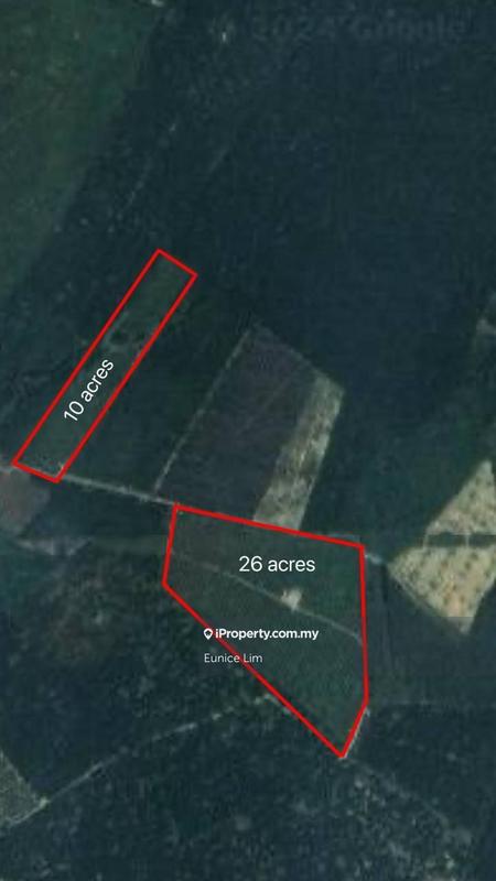 For Sale - 36 acres Durian Farm