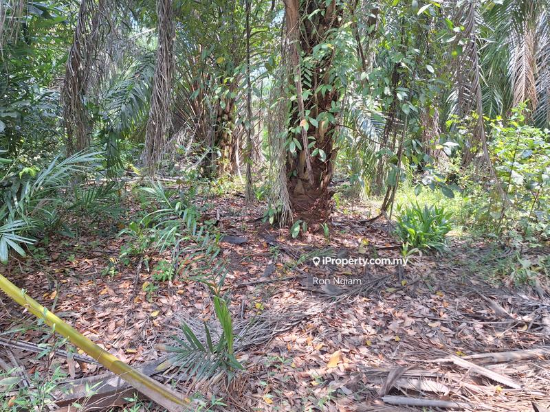 Agricultural Land for Sale in Telok Panglima Garang, Selangor by Ron Ngiam - iProperty.com.my