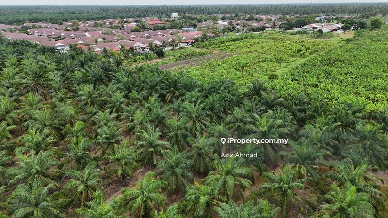 Agricultural Land for Sale in 3ayxd, Sabak Bernam by Aziz Ahmad - iProperty.com.my